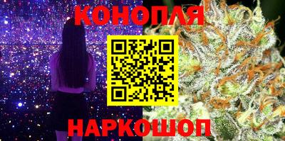 дмт Новозыбков