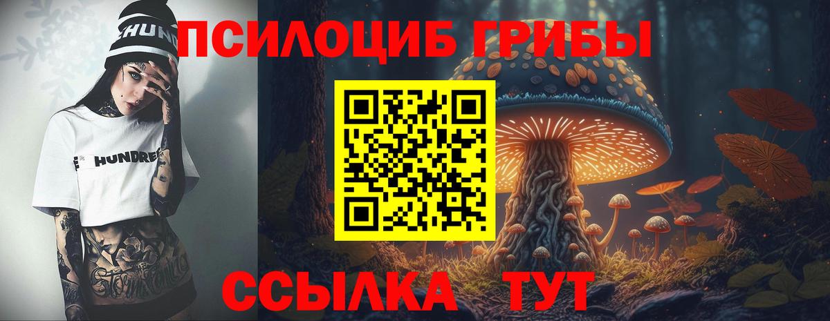 Псилоцибиновые грибы мухоморы  Галлюциногенные грибы мицелий  Сертолово  Вход с VPN 